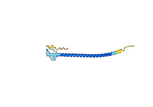 Recombinant Human CREB3L2 Protein, N-His