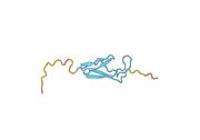 Recombinant Human CRHR2 Protein, N-His-SUMO