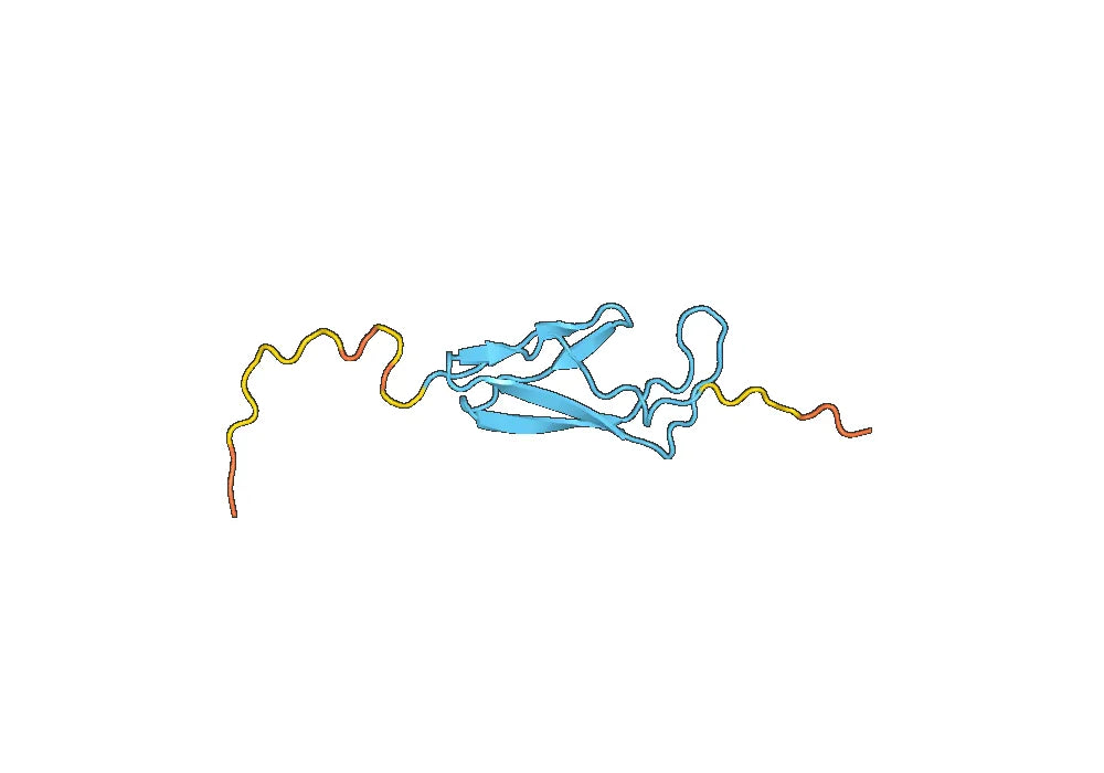 Recombinant Human CRHR2 Protein, N-His-SUMO