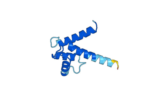 Recombinant Human CRNN Protein, N-His