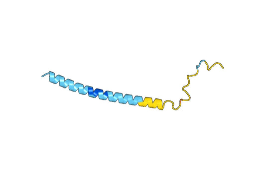 Recombinant Human CRTC1 Protein, N-GST & C-His