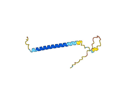 Recombinant Human CRTC3, N-GST