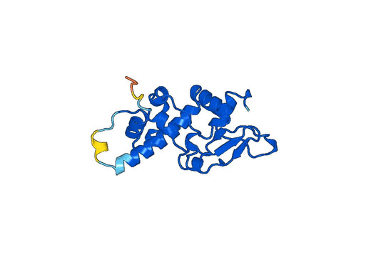 Recombinant Human CSNK2B Protein, N-His