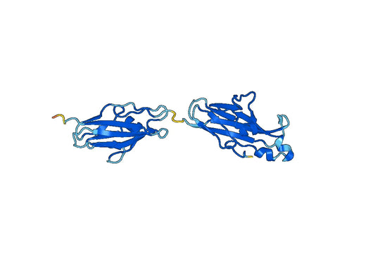 Recombinant Human CSPG4, N-His