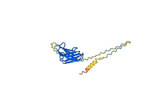 Recombinant Human CTHRC1, N-His