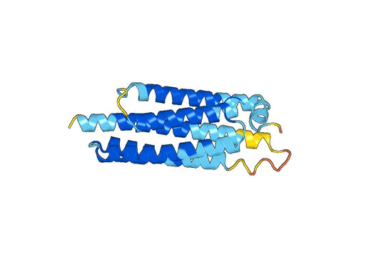 Recombinant Human CTNNA3 Protein, N-His