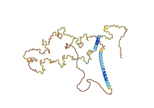Recombinant Human CTTN Protein, N-His