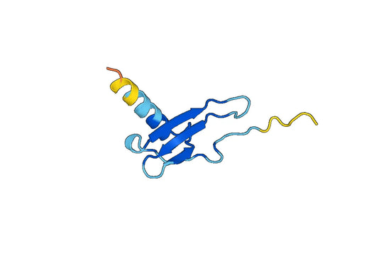 Recombinant Human CXCL10/IP-10 Protein, N-His-SUMO & C-Strep