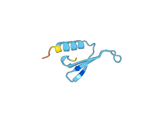 Recombinant Human CXCL5/ENA-78 Protein, N-His-SUMO