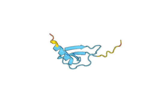 Recombinant Human CXCL6/GCP-2, N-GST
