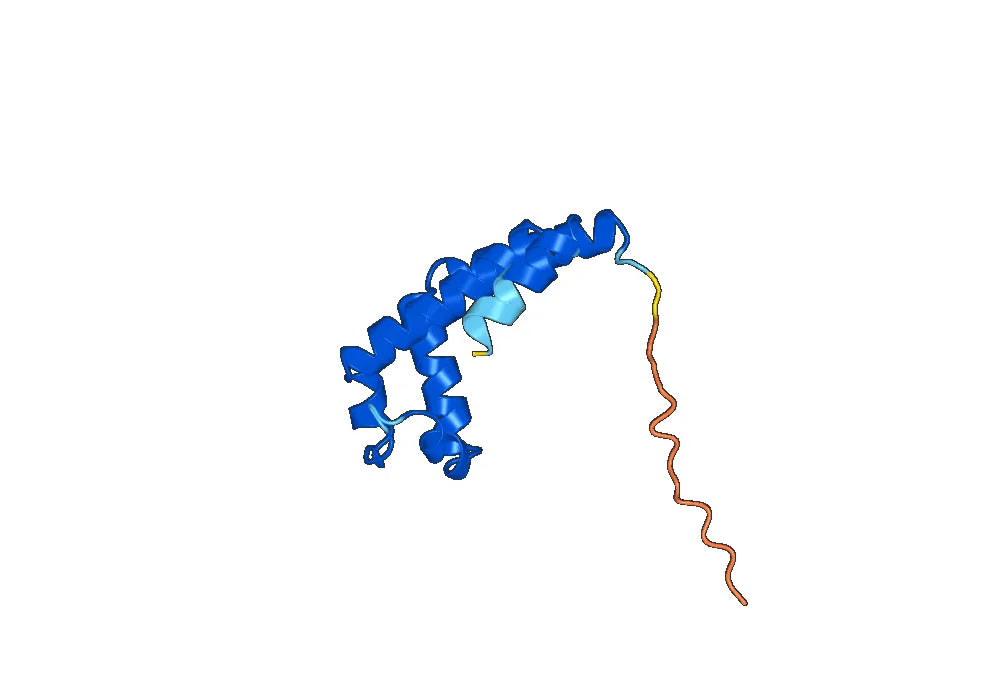 Recombinant Human CYGB Protein, N-His-SUMO