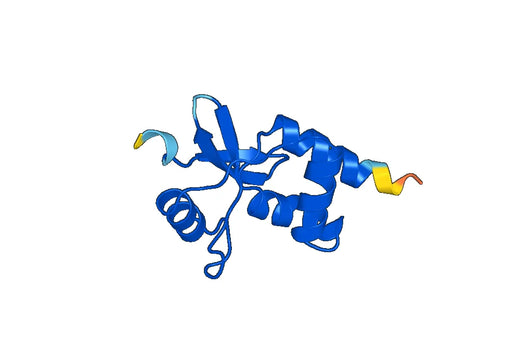 Recombinant Human DACH1 Protein, N-His-SUMO