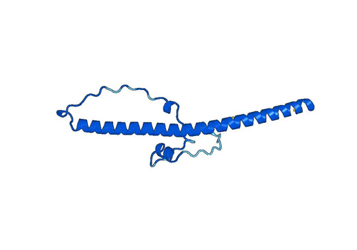 Recombinant Human DBP Protein, N-His