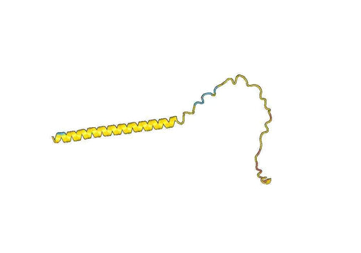 Recombinant Human DCD, N-His
