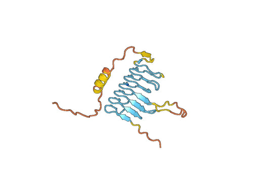 Recombinant Human DCTN6 Protein, N-His
