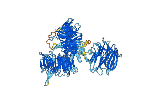 Recombinant Human DDB1 Protein, C-His
