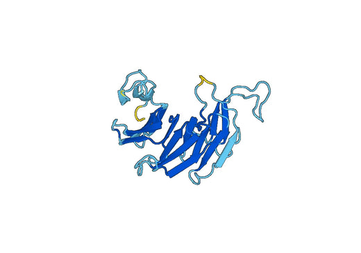 Recombinant Human DDB2, N-His