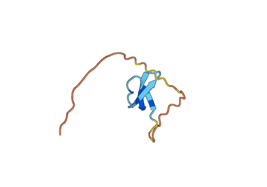 Recombinant Human DEFA5 Protein, N-His-SUMO