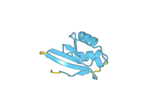 Recombinant Human DENR Protein, N-His-SUMO