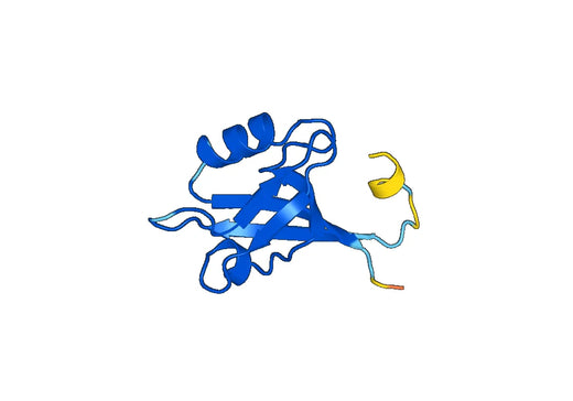 Recombinant Human DEPTOR Protein, N-His-SUMO
