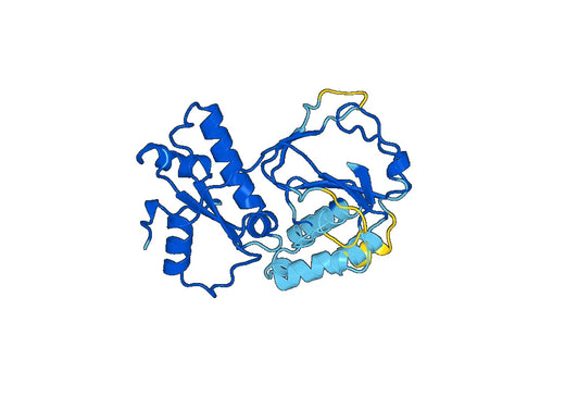 Recombinant Human DGKE, N-His