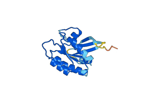 Recombinant Human DIRAS1 Protein, N-His