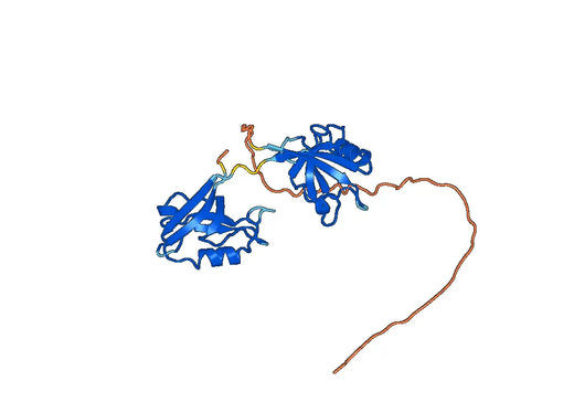 Recombinant Human DLG4/PSD95, N-His, Ile6-Ala249