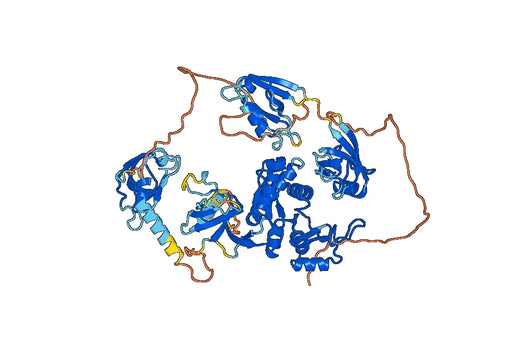 Recombinant Human DLG4/PSD95, N-His, Ile6-Leu724