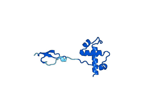 Recombinant Human DMAP1 Protein, N-His