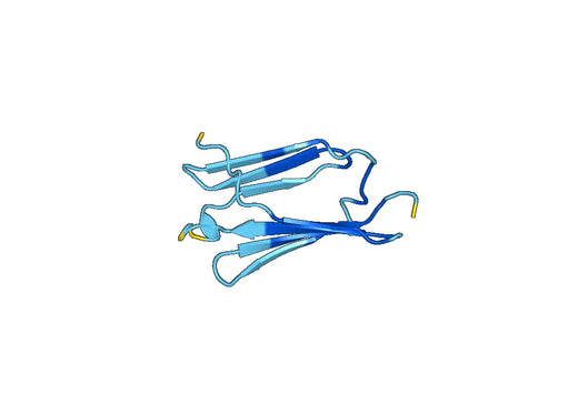 Recombinant Human DNAAF4 Protein, N-GST & C-His