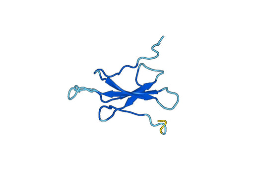 Recombinant Human DNAI2 Protein, N-His-SUMO