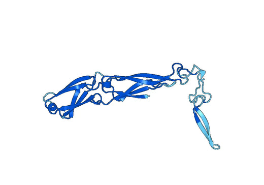 Recombinant Human DNAJA1 Protein, N-His
