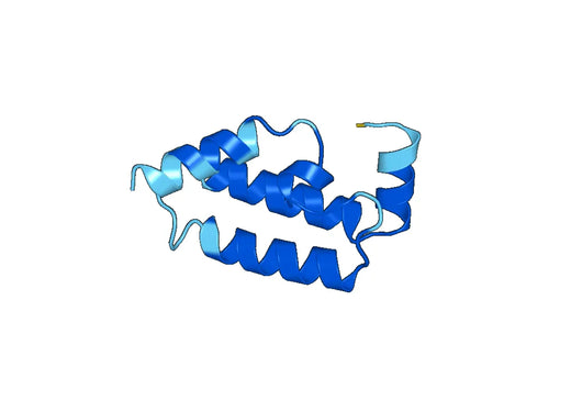 Recombinant Human DNAJB12 Protein, N-His-SUMO
