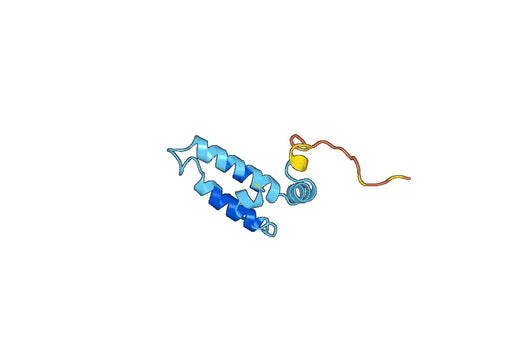Recombinant Human DNAJB2 Protein, N-GST & C-His