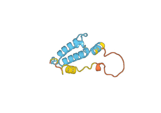 Recombinant Human DNAJB3 Protein, N-His-SUMO