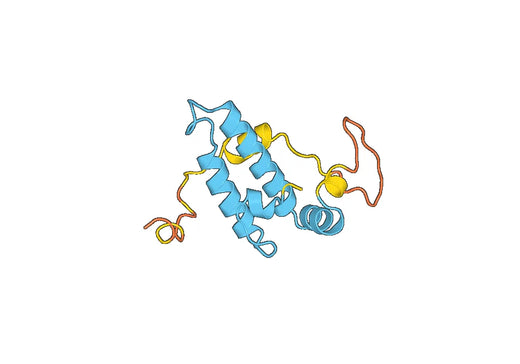 Recombinant Human DNAJB6 Protein, N-His