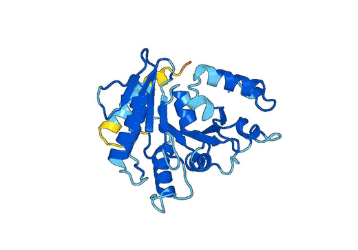 Recombinant Human DNM1 Protein, N-His