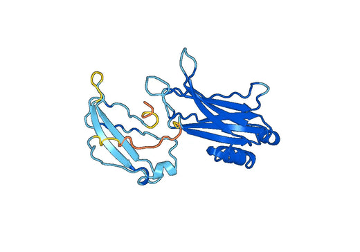 Recombinant Human DOC2B, N-His