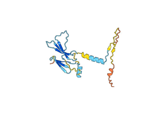 Recombinant Human DPP8, N-His