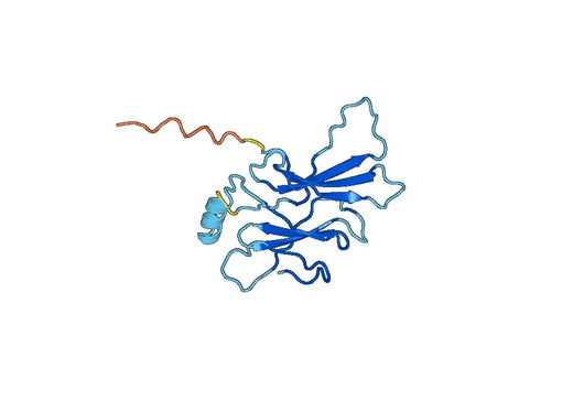 Recombinant Human DPP9, N-His