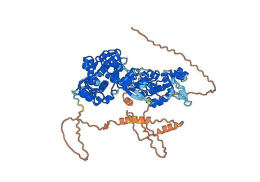 Recombinant Human DST/Dystonin/eBPAG1 Protein, N-GST & C-His