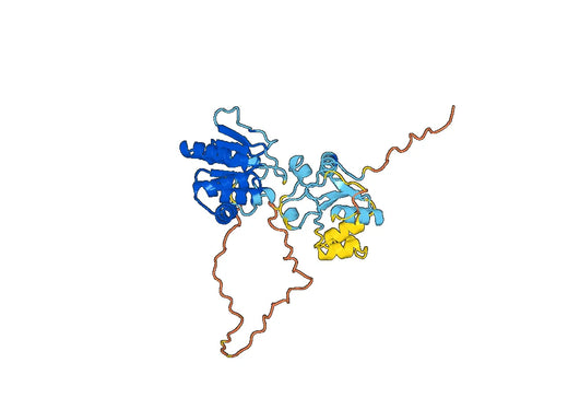 Recombinant Human DUSP6, N-His