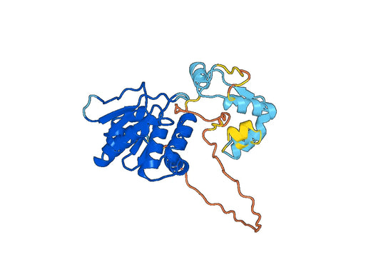 Recombinant Human DUSP7 Protein, N-His