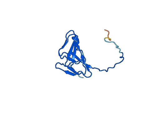 Recombinant Human DUT Protein, N-His