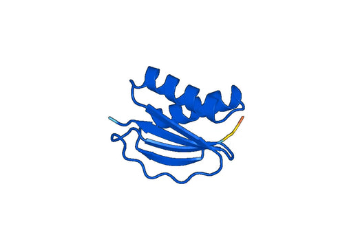 Recombinant Human DYNLL1 Protein, N-His