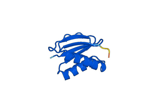 Recombinant Human DYNLL2 Protein, N-His-SUMO