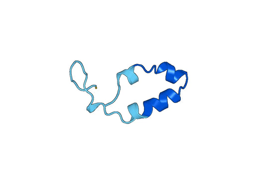 Recombinant Human DZIP1 Protein, N-His-SUMO
