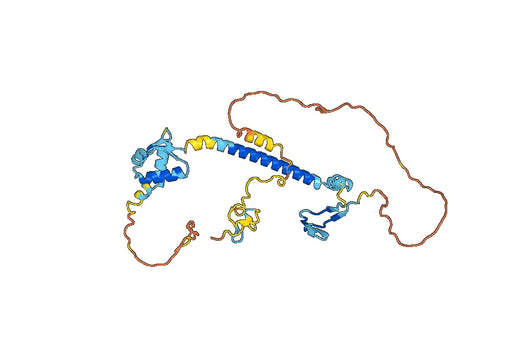 Recombinant Human E2F1/RBBP3 Protein, N-His