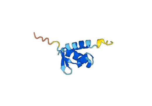 Recombinant Human E2F3 Protein, N-His-SUMO & C-Strep