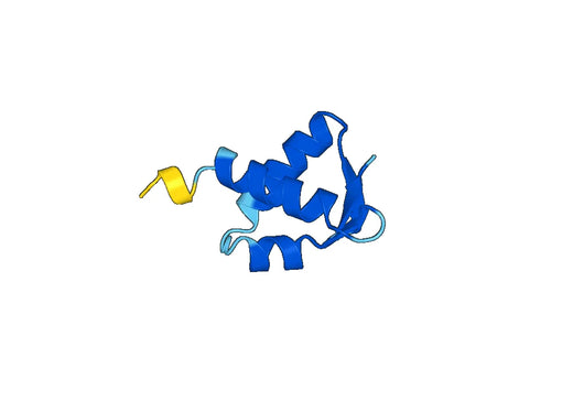 Recombinant Human E2F4 Protein, N-GST & C-His